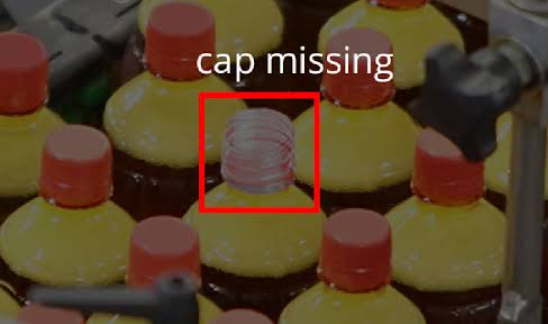 Cap & Closure Inspection